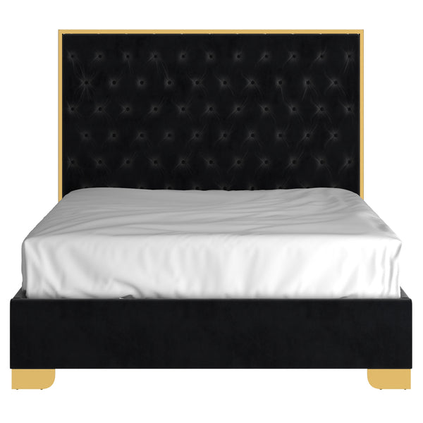 Worldwide Home Furnishings Lucille-60'' Bed: Luxurious Velvet Upholstered Design With Polished Stainless Steel Legs For Style Black,Gold Velvet,Metal 101-596q-bk_Gl