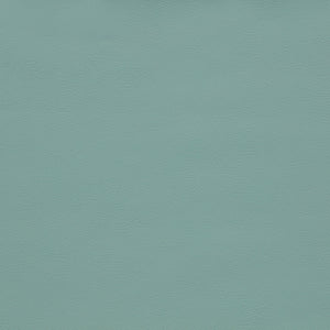 Arc Mint Green Vegan Leather Ottoman 101Mint-Ott Meridian Furniture