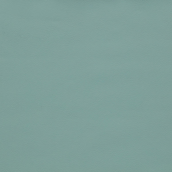 Arc Mint Green Vegan Leather Straight Chair 101Mint-ST Meridian Furniture