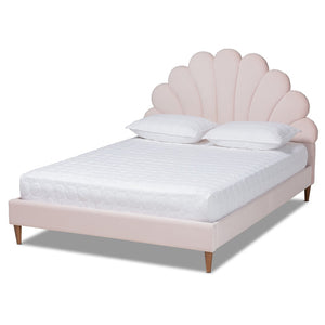 Baxton Studio Baxton Studio Odille Queen Size Seashell Platform Bed in Light Pink Velvet with Walnut Brown Legs BBT6897-Light Pink Velvet/Walnut-Queen