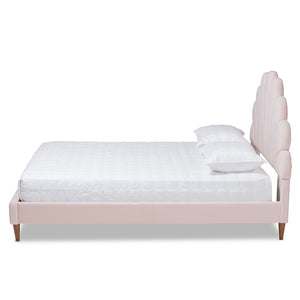 Baxton Studio Baxton Studio Odille Queen Size Seashell Platform Bed in Light Pink Velvet with Walnut Brown Legs BBT6897-Light Pink Velvet/Walnut-Queen