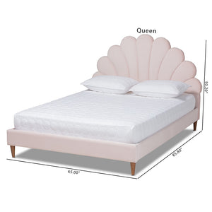 Baxton Studio Baxton Studio Odille Queen Size Seashell Platform Bed in Light Pink Velvet with Walnut Brown Legs BBT6897-Light Pink Velvet/Walnut-Queen