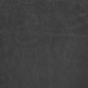 New Pacific Direct Kaiden Faux Leather Counter Stool Set – Mid-century Modern Design With Plush Comfort & Style Cano Black  1060041-719-npd