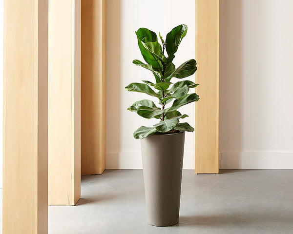 Arbor Planter - Small 106714 Sunpan