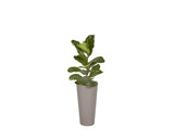 Arbor Planter - Small 106714 Sunpan