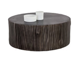 Shea Coffee Table 107080 Sunpan