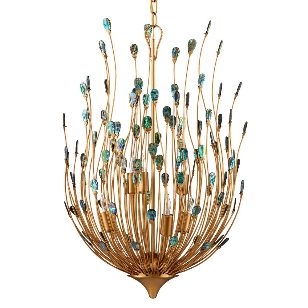 Delphos Chandelier - Elegant Nature-Inspired Fixture with Iridescent Paua Shells & Gold Finish