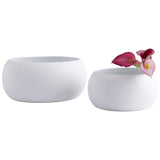 Purezza Bowl White 10829 Cyan Design