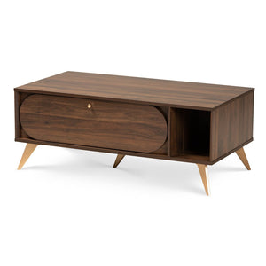 Baxton Studio Baxton Studio Edel Mid-Century Coffee Table - Walnut Brown with Gold Accents & Versatile Storage Solutions LV12CFT12140WI-Columbia/Gold-CT