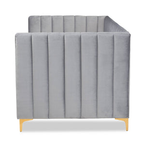Baxton Studio Baxton Studio Oksana Luxe Velvet Upholstered Daybed with Gold Accents for Modern Glam Living Spaces Twin CF0344-Light Grey Daybed-Twin