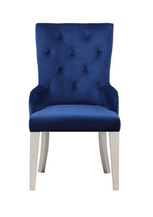 English Elm Blue Velvet Chair Button-Tufted Nailhead Trim with Pull Ring, Padded Arms & Tapered Wood Legs — Luxury Dining Seat B2741P330118