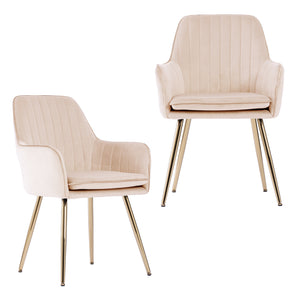 English Elm Velvet Mid-Back Dining Chairs Set of 2 with Gold Plated Legs, Plush Upholstery, Removable Cushions, Ergonomic Support Beige W3394P329173