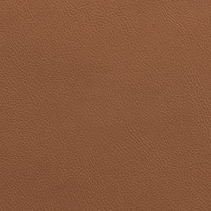 Meridian Furniture Riccio Cognac Vegan Leather Dining Chair with Brass Accents on Ash Wood Frame 11017Cognac-SC