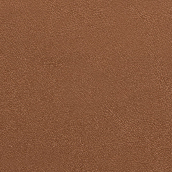Meridian Furniture Riccio Cognac Vegan Leather Dining Chair with Brass Accents on Ash Wood Frame 11017Cognac-SC