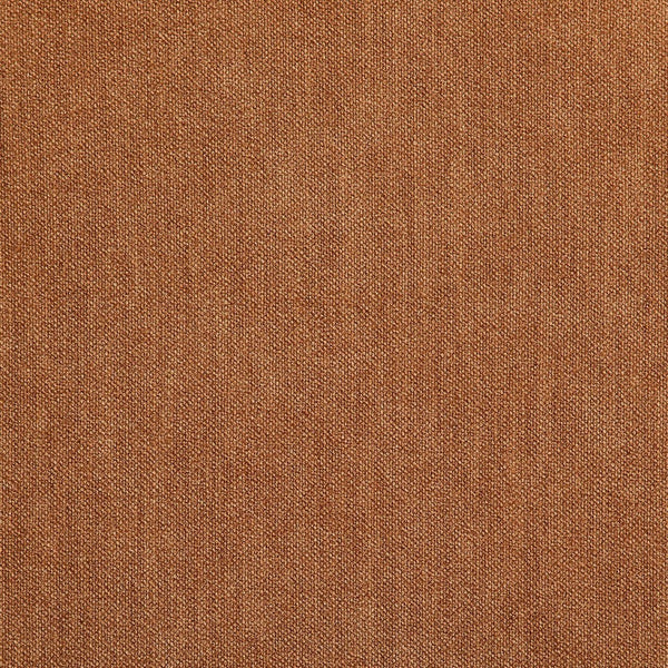 Meridian Furniture Riccio Cognac Polyester Dining Chair with Ash Wood Frame and Brushed Brass Accents 11021Cognac-SC