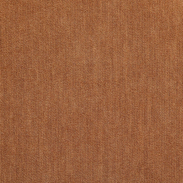 Meridian Furniture Riccio Cognac Polyester Dining Chair with Ash Frame and Brushed Brass Accents 11022Cognac-SC
