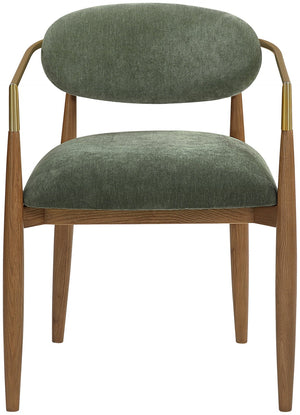 Meridian Furniture Riccio Olive Performance Fabric Arm Chair with Ash Wood Frame and Brass Accents 11023Olive-AC