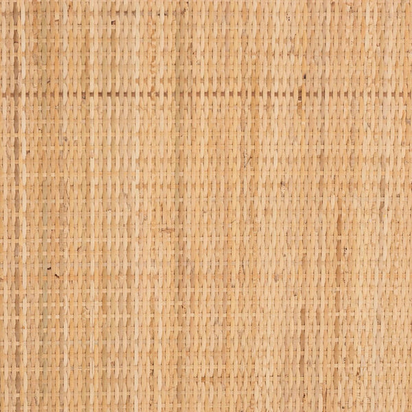 English Elm Bohemian Rattan Woven Storage Cabinet with Tapered Feet for Living Room or Entryway B2750P467730