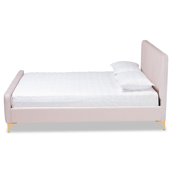 Baxton Studio Baxton Studio Nami Luxe Velvet Upholstered Queen Platform Bed with Gold Metal Legs for Glam Decor Pink CF0374-Light Pink-Queen