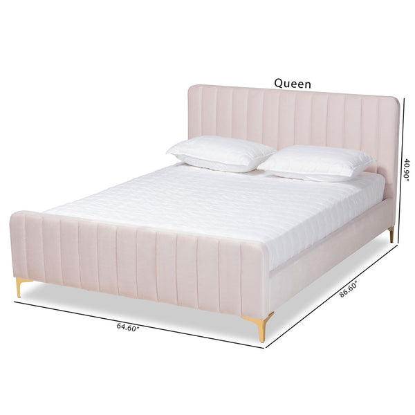 Baxton Studio Baxton Studio Nami Luxe Velvet Upholstered Queen Platform Bed with Gold Metal Legs for Glam Decor Pink CF0374-Light Pink-Queen