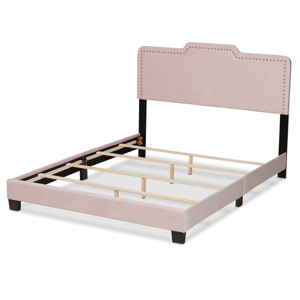 Baxton Studio Baxton Studio Glam Light Pink Velvet Upholstered Panel Bed with Padded Headboard for Stylish Comfort Benjen Queen CF9210C-Light Pink Velvet-Queen