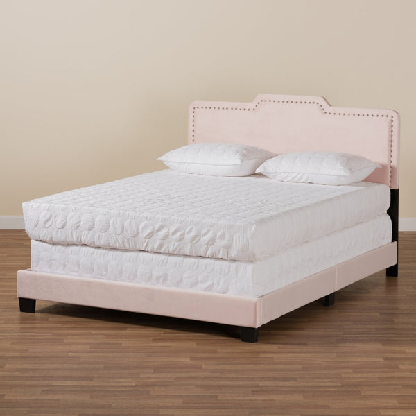 Baxton Studio Baxton Studio Glam Light Pink Velvet Upholstered Panel Bed with Padded Headboard for Stylish Comfort Benjen Queen CF9210C-Light Pink Velvet-Queen