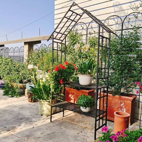 English Elm Metal Garden Arch Bench with Trellis Grid for Climbing Roses and Outdoor Spaces W1586P278441