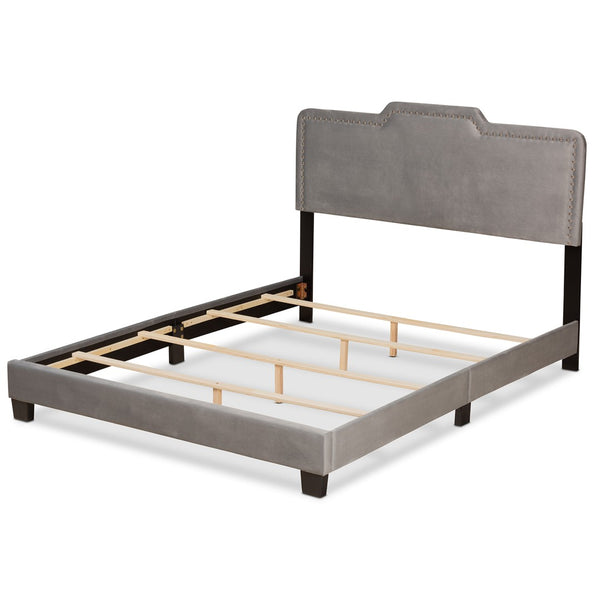 Baxton Studio Baxton Benjen Glam Grey Velvet Queen Panel Bed - Modern Comfort with Luxe Nailhead Trim Design CF9210C-Grey Velvet-Queen