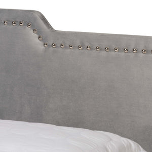 Baxton Studio Baxton Benjen Glam Grey Velvet Queen Panel Bed - Modern Comfort with Luxe Nailhead Trim Design CF9210C-Grey Velvet-Queen