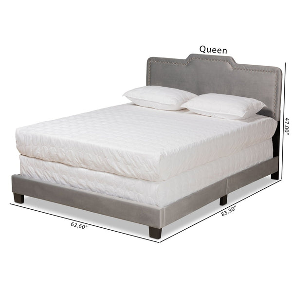 Baxton Studio Baxton Benjen Glam Grey Velvet Queen Panel Bed - Modern Comfort with Luxe Nailhead Trim Design CF9210C-Grey Velvet-Queen