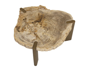 Sunpan Orric Petrified Wood Coffee Table with Steel Legs Organic Live Edge Modern Accent 28 D x 16 H x 24 W 112905