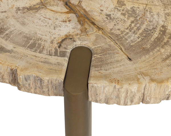 Sunpan Orric Petrified Wood Coffee Table with Steel Legs Organic Live Edge Modern Accent 28 D x 16 H x 24 W 112905