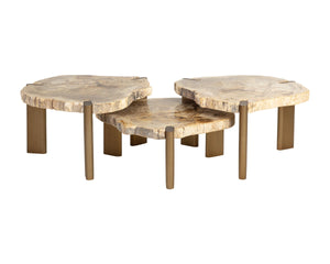 Sunpan Orric Petrified Wood Coffee Table with Steel Legs Organic Live Edge Modern Accent 28 D x 16 H x 24 W 112905