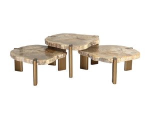 Sunpan Orric Petrified Wood Coffee Table with Steel Legs Organic Live Edge Modern Accent 28 D x 16 H x 24 W 112905