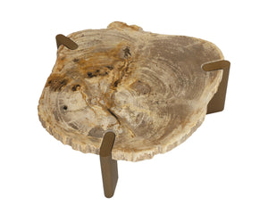 Sunpan Orric Petrified Wood Coffee Table with Steel Legs Organic Live Edge Modern Accent 28 D x 12 H x 24 W 112906