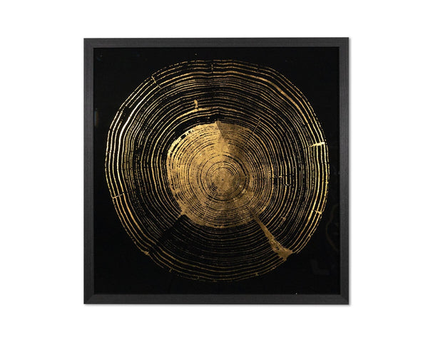 Sunpan TIME LINES Set of 4 Framed Art Panels - 30" Charcoal Frames with Gold Leaf Tree Ring Designs A0325