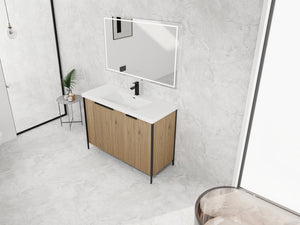 English Elm 48" Freestanding Bathroom Vanity with Thick Resin Sink, Soft-Close Doors, Adjustable Shelves, Durable Finish Light Coffee W999S00297