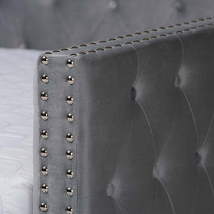 Baxton Studio Baxton Studio Grey Velvet Upholstered Queen Daybed with Trundle - Modern Design & Ultimate Comfort CF9227-Silver Grey Velvet-Daybed-Q/T