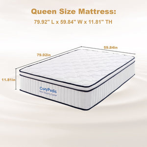 English Elm 12 Inch Queen Hybrid Mattress Memory Foam Pocket Springs Medium Firm Cooling W2699P399182