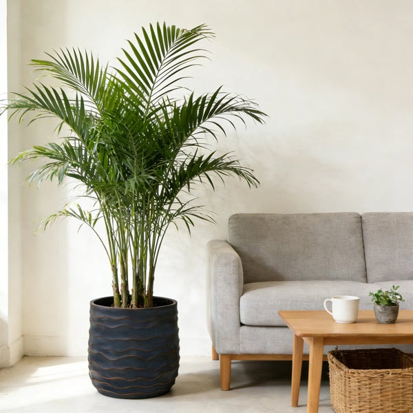 English Elm Large Concrete Texture Magnesium Oxide Round Planters Duo Indoor Outdoor Patio W5212P434275