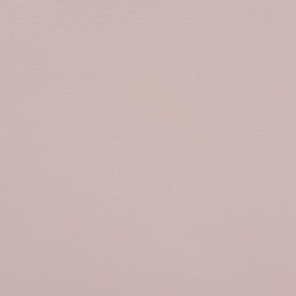 Baxton Studio Baxton Timila Light Pink Velvet Queen Daybed - Modern Seashell Design with Plush Comfort & Support BBT61078-Light Pink Velvet-Daybed-Queen