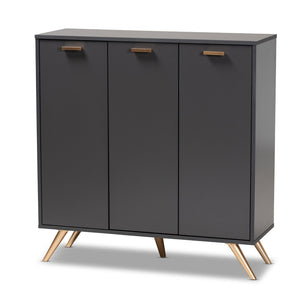 Baxton Studio Baxton Studio Modern Dark Grey Shoe Cabinet with Gold Accents - Stylish Storage for 12 Pairs LV19SC1915-Dark Grey-Shoe Cabinet