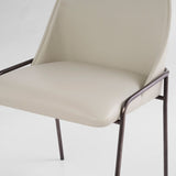 Suez Dining Chair Onyx | Taupe 11733 Cyan Design