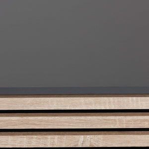 Baxton Studio Baxton Studio Eckhart Modern Cat Litter Box Cover - Stylish Two-Tone Wood Design for Home Décor Grey SECHC150130WI-Dark Grey/Hana Oak-Cat House