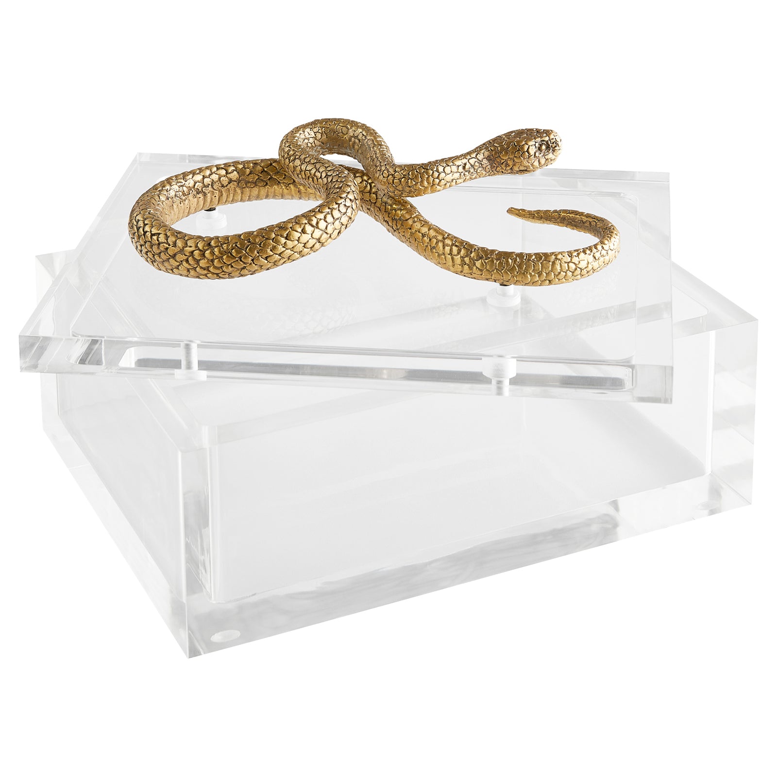 Snake Box - Clear and Brass Design, Perfect 4.5H x 7W x 8.25L Dimensio