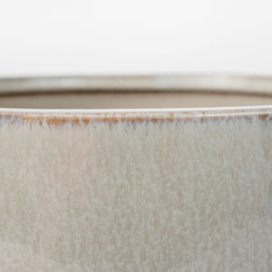 Elevated Bowl Shellish Grey 11772 Cyan Design