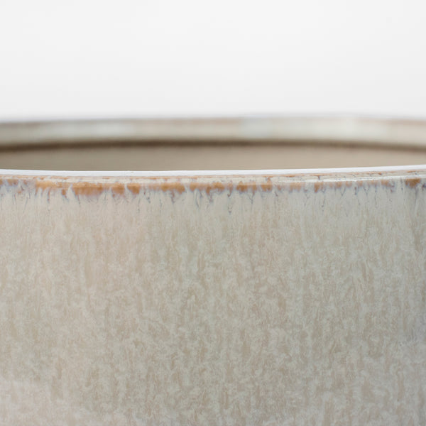 Elevated Bowl Shellish Grey 11772 Cyan Design