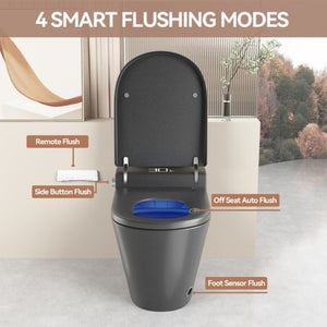 English Elm Unique Intelligent One-piece Toilet with Integrated Bidet Heated Seat and Auto Lid Grey W3133P414566