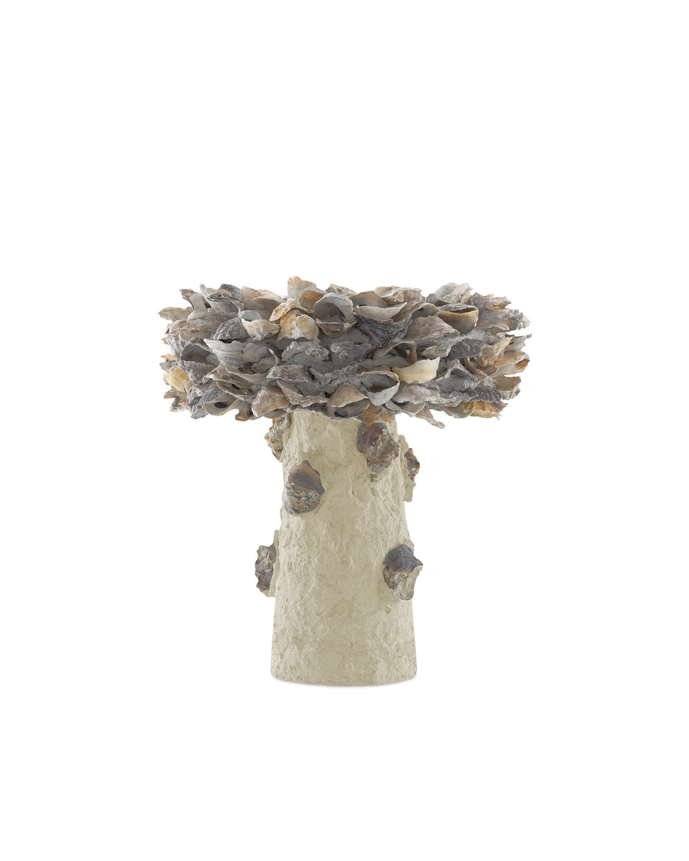 Currey & Company Oyster Shell Inspired Concrete Bird Bath Handcrafted Sculptural Garden Accent Outdoor 1200-0052