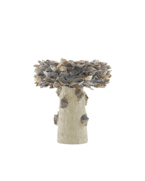 Currey & Company Oyster Shell Inspired Concrete Bird Bath Handcrafted Sculptural Garden Accent Outdoor 1200-0052